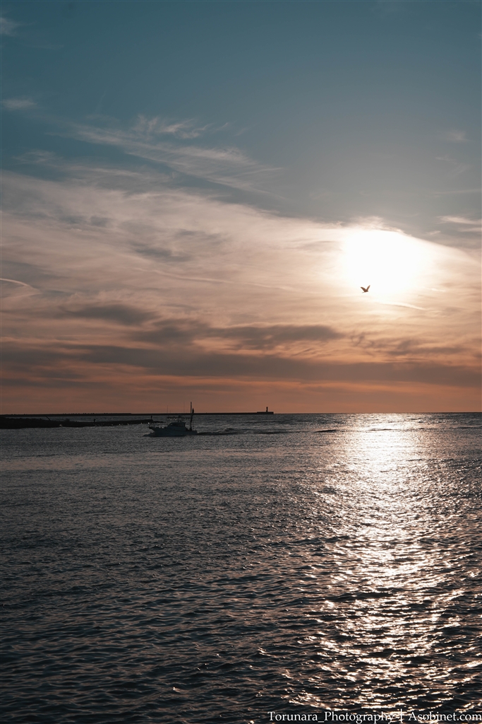 ��7 V ILCE-7M5 �{�f�B ���r���[�摜