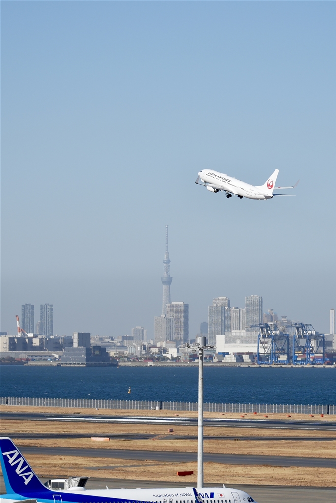 ��7 V ILCE-7M5 �{�f�B ���r���[�摜