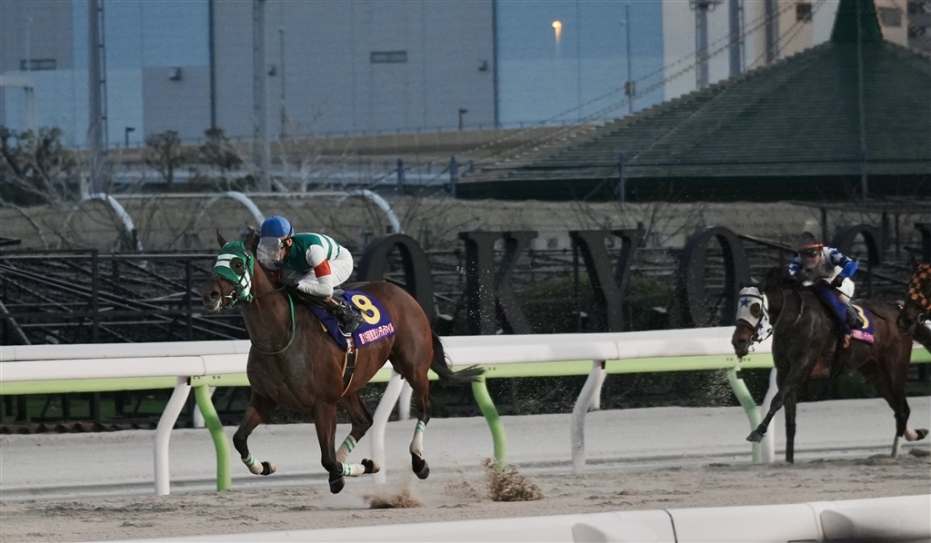 ��7 V ILCE-7M5 �{�f�B ���r���[�摜