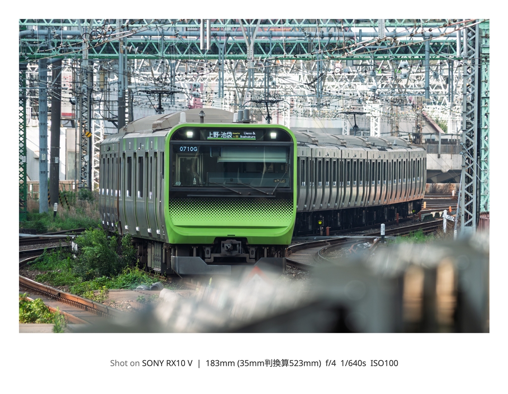 �T�C�o�[�V���b�g DSC-RX10M5 ���r���[�摜