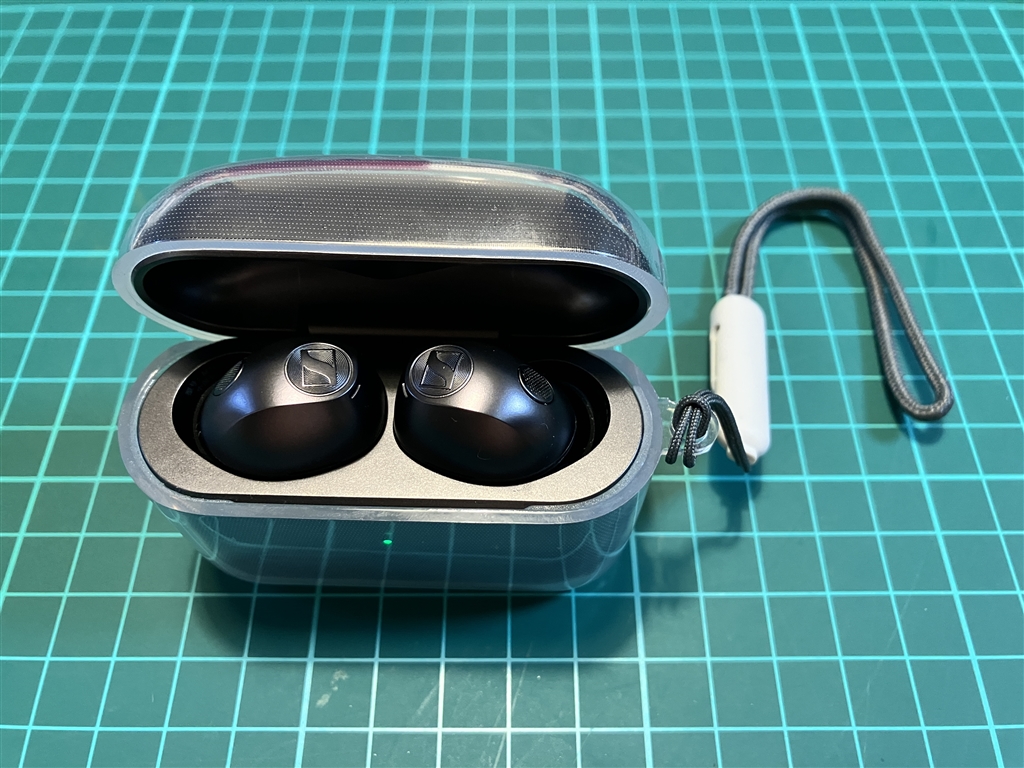 MOMENTUM True Wireless 5 [Graphite] ���r���[�摜