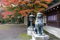 DSC-RX10_075_@ 8.8mm_F2.8_1�^60sec_ISO125