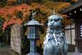 ILCE-7_014_@50.0mm_F4.5_1�^60sec_ISO250