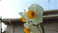 @f/3.5@1/500b@ISO-80 +0.3Xebv@8mm 3.2