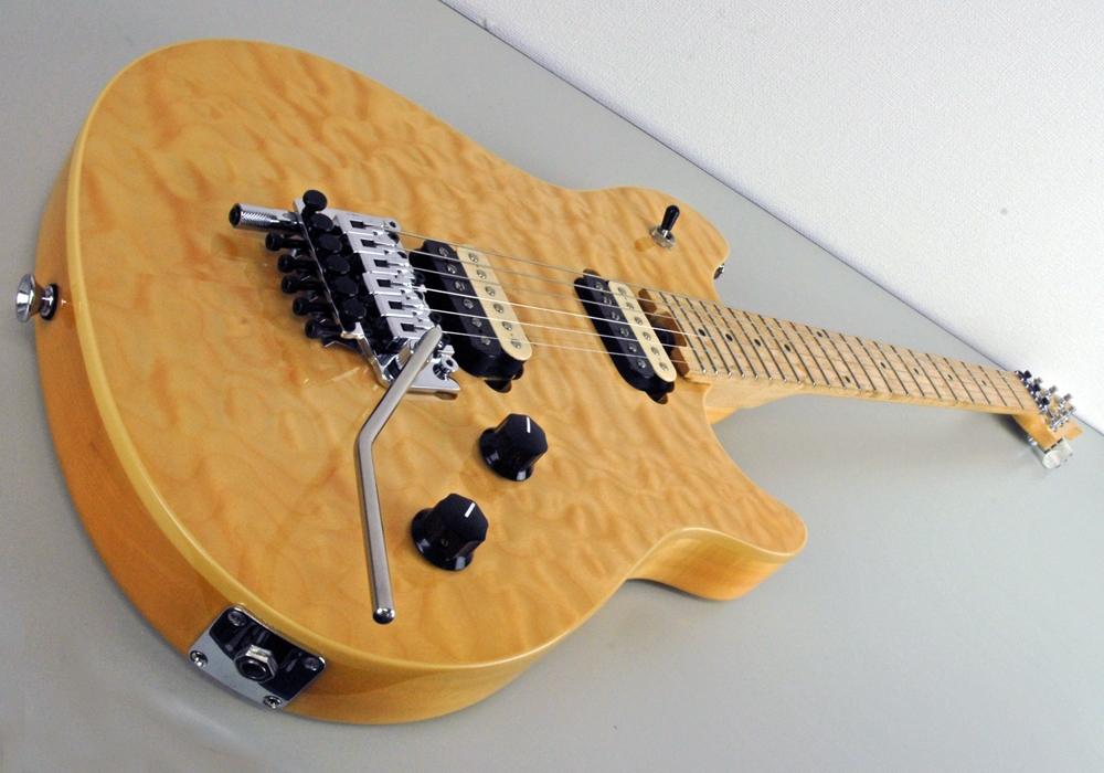 EVH Wolfgang Special マットブラック フロイドローズ式 Wolfgang