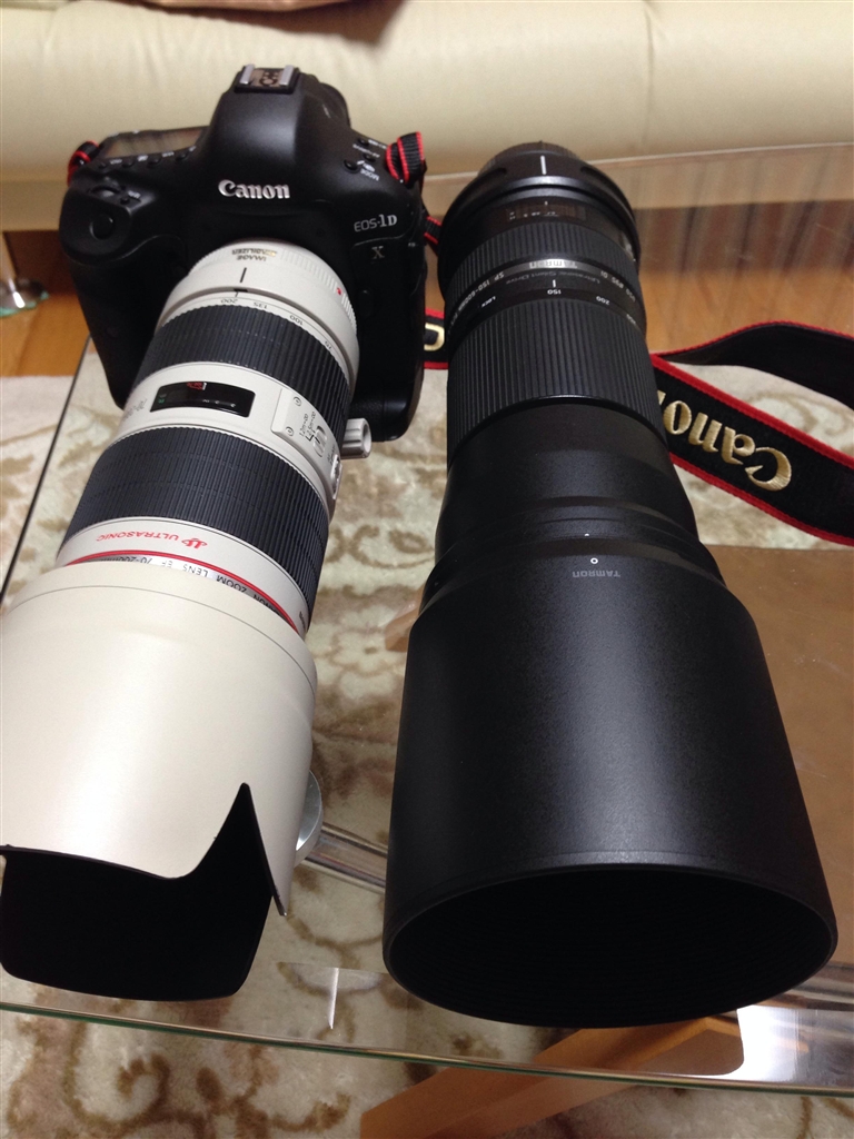 タムロンSP150-600 mm F/5-6.3 Di VC USDキャノン - カメラ