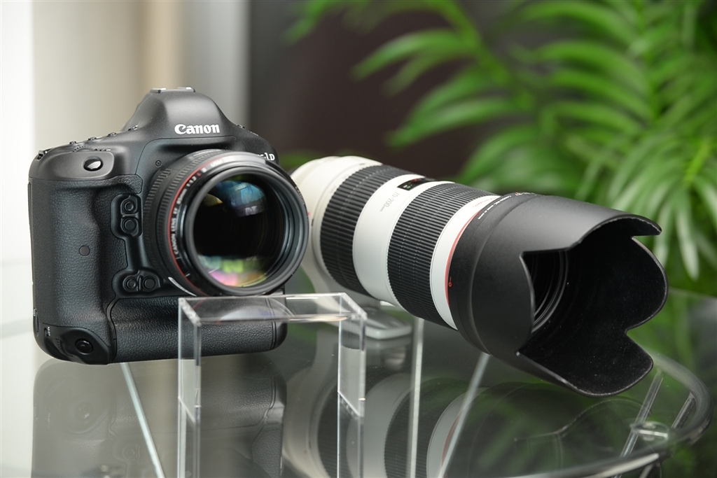 価格.com - 『これは、D4+70-200F2.8に及ばない印象かな？』CANON