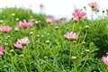 18.5-f1.8Be