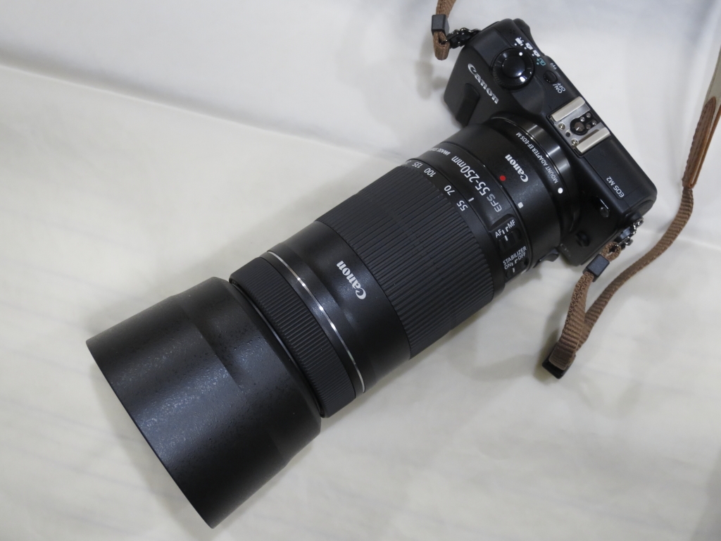 Canon EF-S55-250F4-5.6 IS STM 超美品+spbgp44.ru