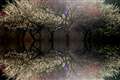 }WbNtB^[F~[gp@@@OLYMPUS Viewer RɂĉH