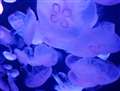 JPEGBďo_04@ISO_6400