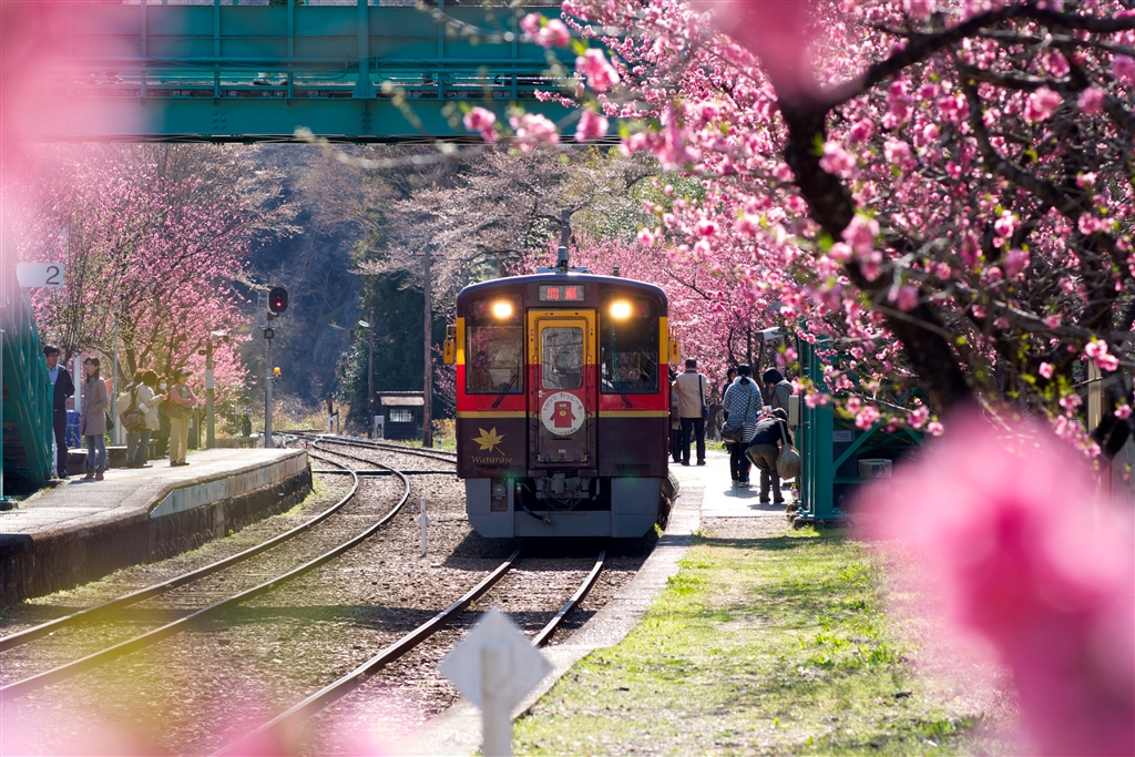 ■送料無料■オリンピックプレート計105kg 追加購入も大歓迎⭐︎ 価格.com - 『ポートレートレンズと銘打ってますが風景写真にも使い
