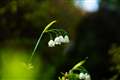F1.4ŎBe