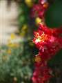 E420@Leica14-150