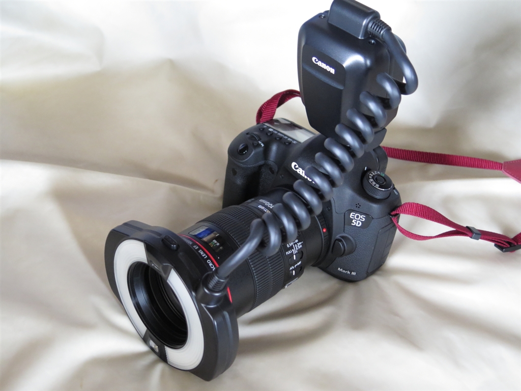 Canon - Canon リングライト MR-14EXの+inforsante.fr