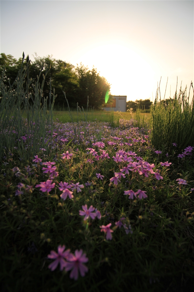 Canon EF-S10-18 キャノン レンズ+spbgp44.ru