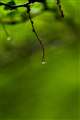 smc PENTAX-D FA }N 100mm F2.8 WR