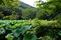XF18-135mm�@18mm/��3.5