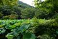  XF18-55mm�@18mm/��3.6