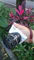 NIKKOR 28mm/F3.5𑕒