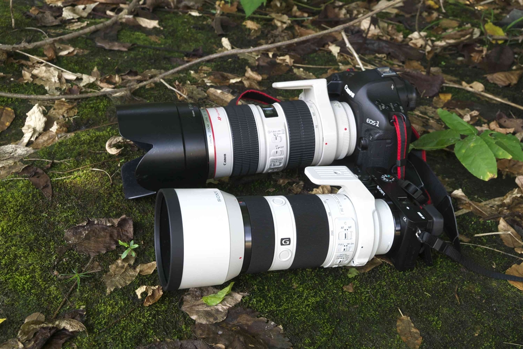 価格.com - 『GレンズとLレンズ、実戦対決中！』SONY FE 70-200mm F4 G