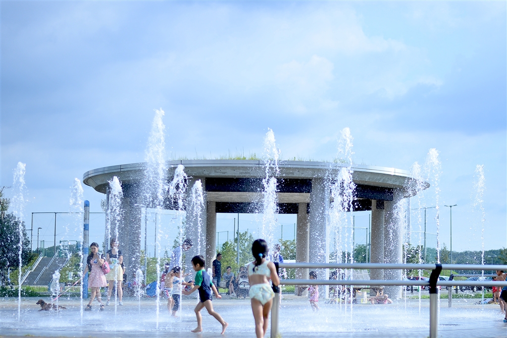 ニコン Nikon AF-S 50mm F1.8G☆背景ふんわり♪☆憧れのボケ感