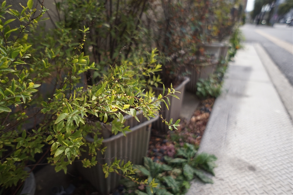 価格.com - 『SEL16F28での作例』SONY α ILCE-QX1 ボディ anikikabu