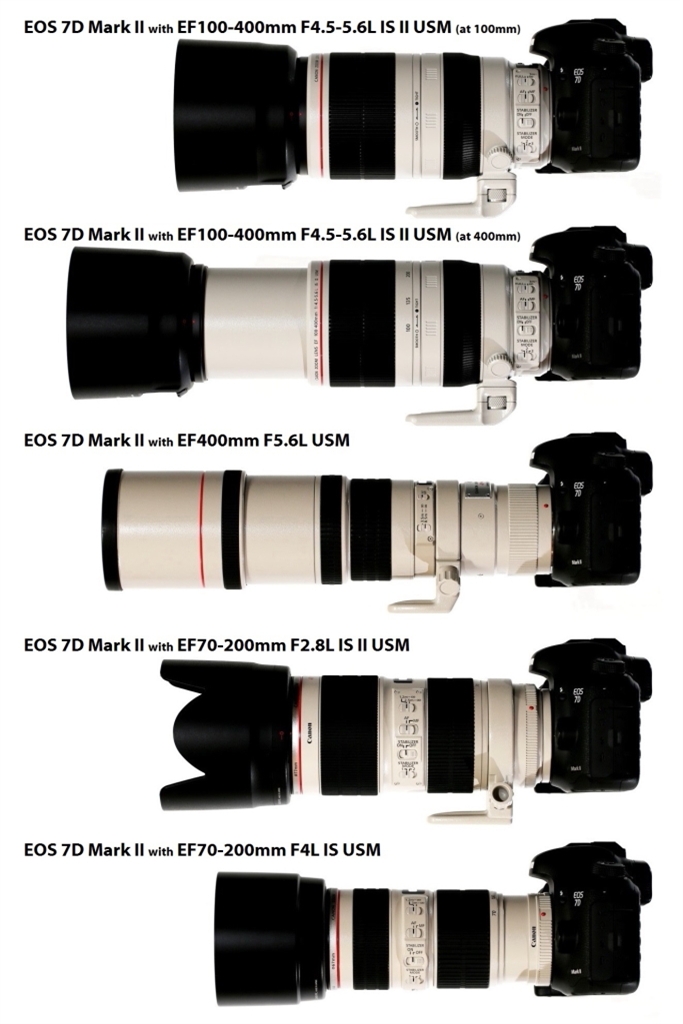 Canon EF 100-400mm F4.5-5.6 L IS USM フード tic-guinee.net