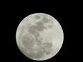 恒例?の月の写真。100倍