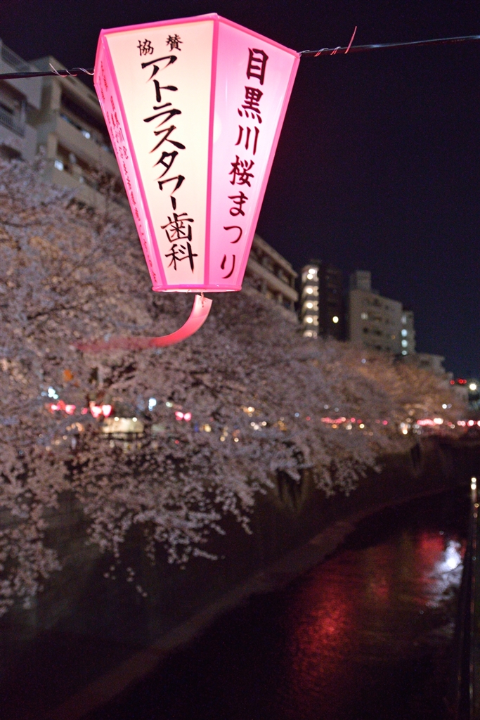 価格.com - 『春の夜景』ニコン D3200 ボディ [ブラック] White_Cat_白