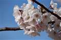 55-250mmɂ̎Be@