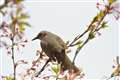 TAMRON@SP 70-300mm F/4-5.6 Di VC USD (Model A005)@35mmZ810mm