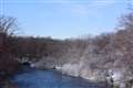 初春の千歳川