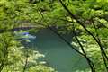 smc PENTAX-DA55mm F1.4 SDM