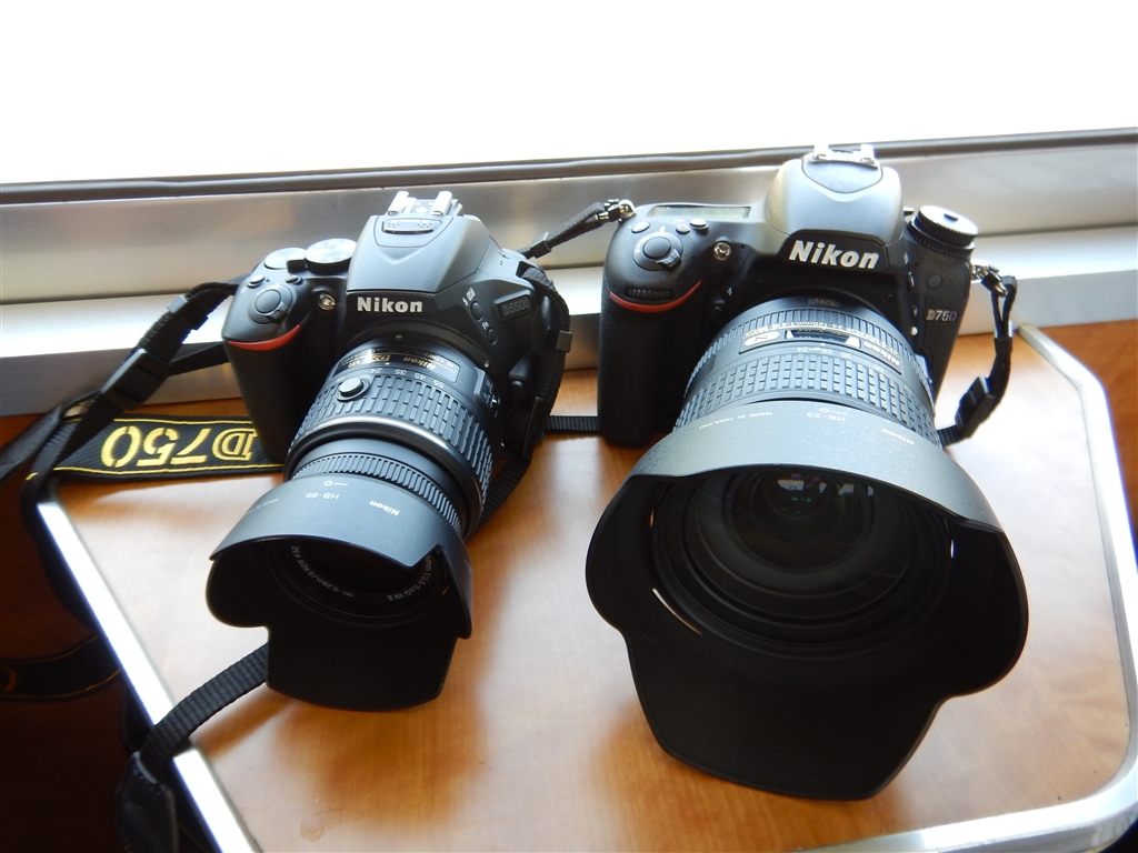 価格.com - 『D5500とD750、大きさは親子ほどの差だけど画質差は兄弟程度。』ニコン D5500 18-55 VR II レンズキット  [ブラック] もんデブーさんのレビュー・評価投稿画像・写真「ファミリーニコン！」[239758]