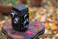 F1.8�i�J���A���B��ɂ��g���₷����p�ł�