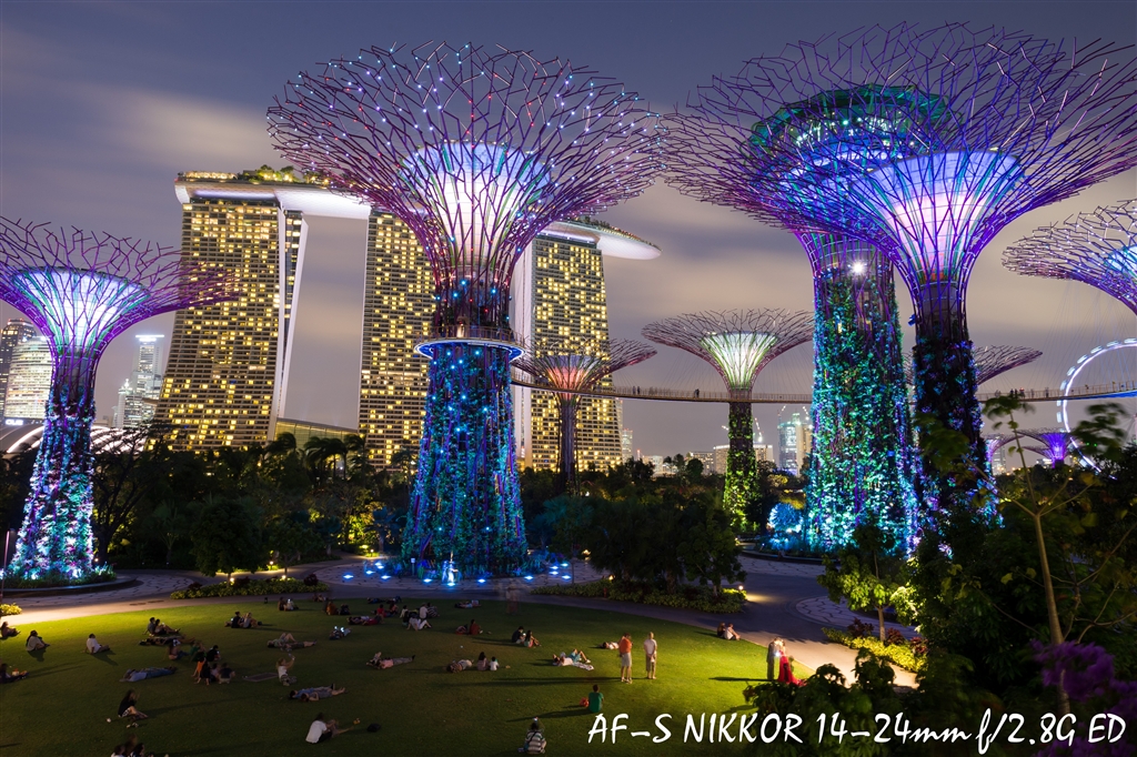 価格.com - 『14-24mmF2.8G作例 ガーデンバイザベイ』ニコン AF-S