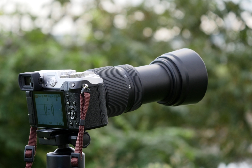 価格.com - 『100-300を装着』パナソニック LUMIX DMC-GX8-S 価格.com - 『100-300を装着』パナソニック LUMIX DMC-GX8-S