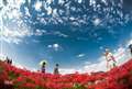 SIGMA 15mm F2.8 EX DG DIAGONAL FISHEYE