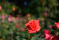 f5.6の写り