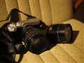 Q{leicaY