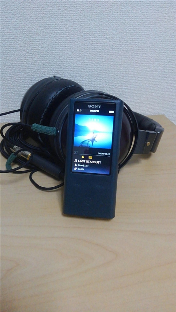 SONY - NW-ZX300 HD598cs dignisケース バランスケーブル セットの+