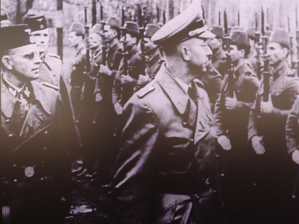 価格 Com 親衛隊 Ss を率いるヒムラー ドキュメンタリー 新 13階段への道 世紀のドキュメント Dklb 5008 Dvd 猫の名前はシロちゃんさんのレビュー 評価投稿画像 写真 ナチスドイツの素顔