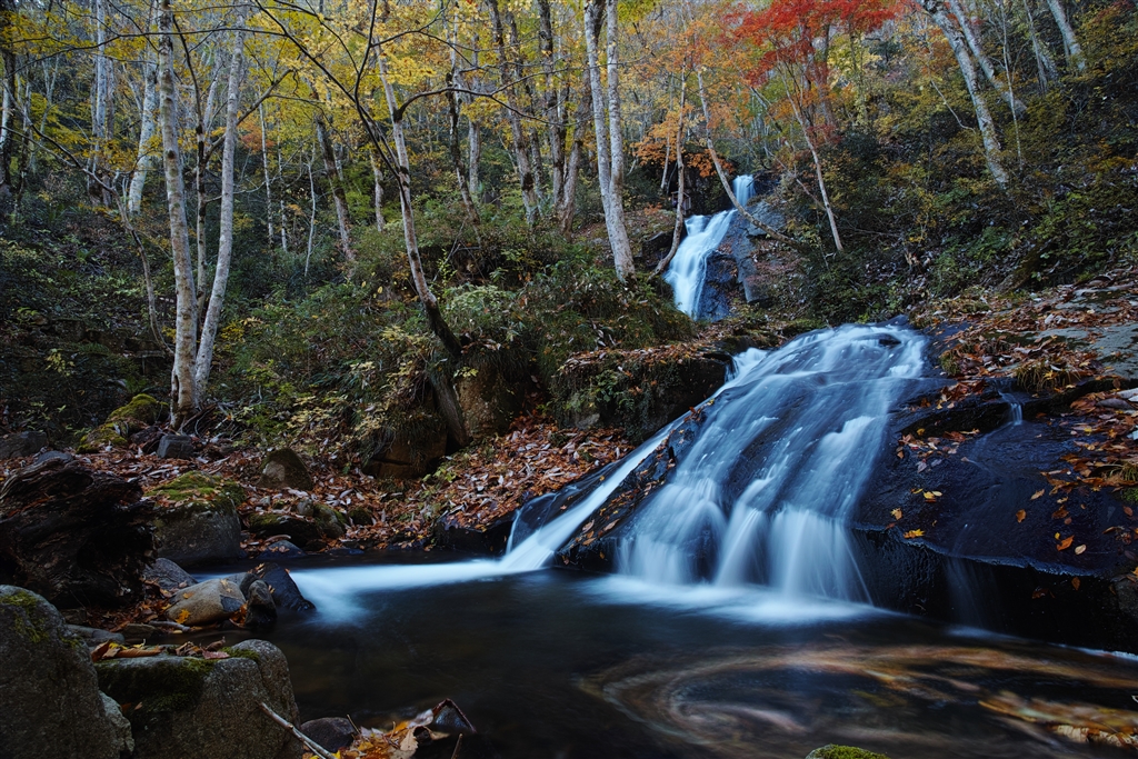 価格 Com 紅葉シーズンの宇津江四十八滝 シグマ Sigma Dp0 Quattro Isaac Xxさんのレビュー 評価投稿画像 写真 その場の空気をも切り取るカメラ 2104