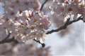AF-S DX NIKKOR 55-200mm f4-5.6G ED VR II