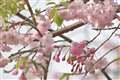 AF-S DX NIKKOR 55-200mm f4-5.6G ED VR II