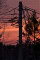 でも夕暮れはすごい色