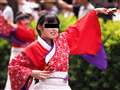 M.Zuiko 40-150 f2.8 PRO�g�p