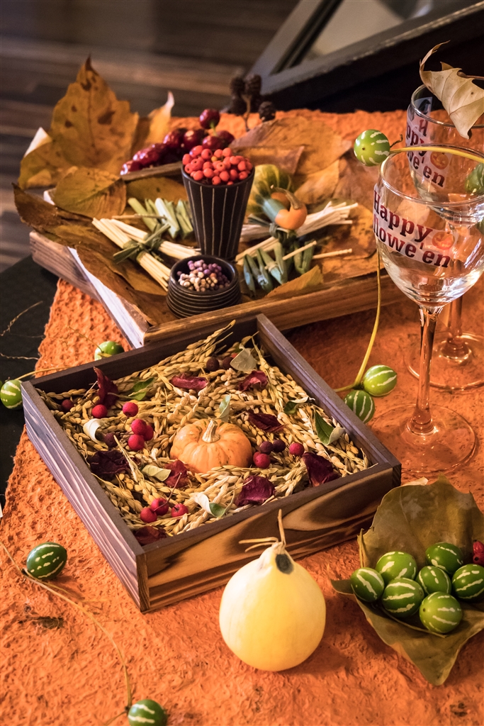 価格.com - 『lumix GX8 & LUMIX G VARIO 14-140mm/F3.5-5.6、ISO3200