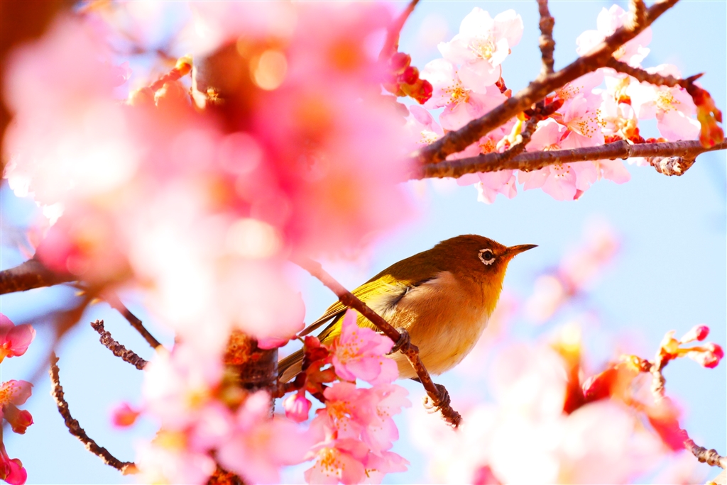 もっちゃん様専用 Panasonic LUMIX G VARIO14-140mm+spbgp44.ru